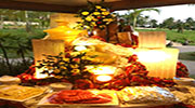 Gaite Ranch Bee Farm Toledo City