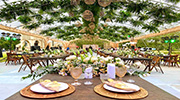 Wedding @ Aloguinsan Cebu
